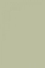 FARROW AND BALL VERT DE TERRE NO. 234 PAINT